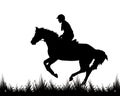 Rider on a horse galloping Royalty Free Stock Photo